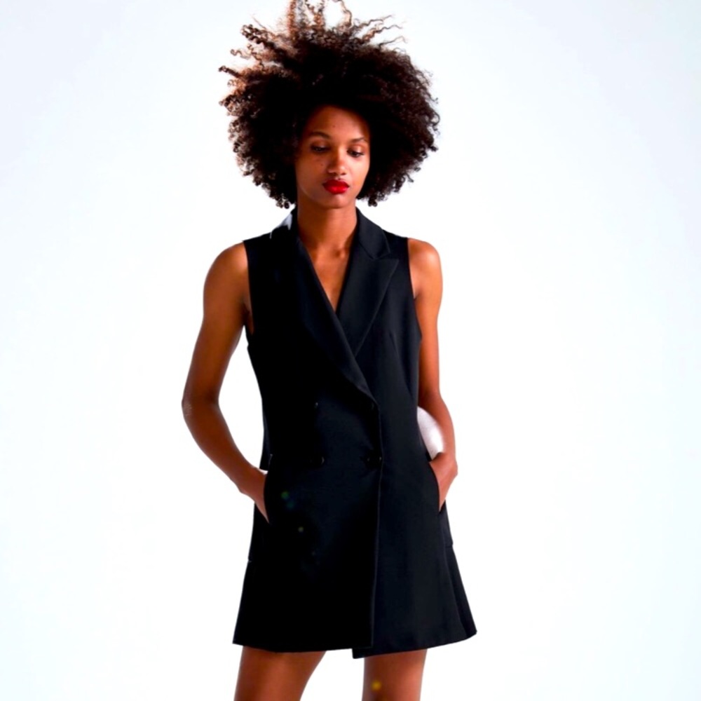 ZARA Double Breasted Pleated Vest Dress